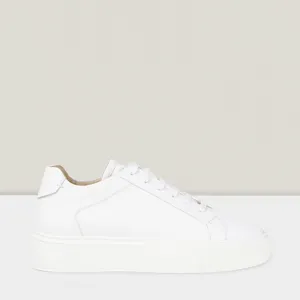 Dare Jaunt Sneaker Men | White