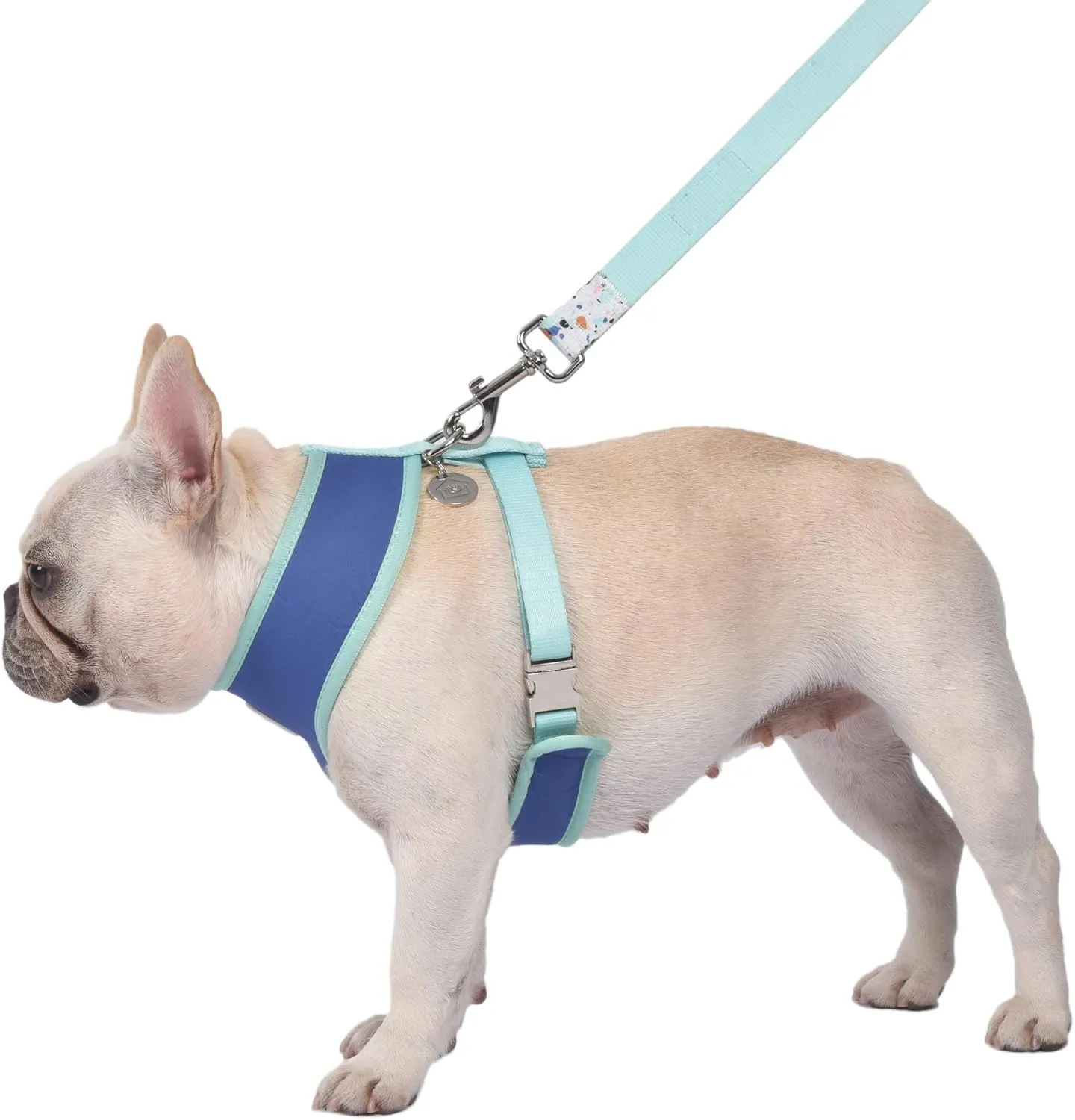 Now House for Pets by Jonathan Adler Jonathan Adler: Now House Terrazzo Reversible Harness, Large | Fashionable and Functional Way to Keep Dog Looking Great | Cute Dog Accessories for Pets