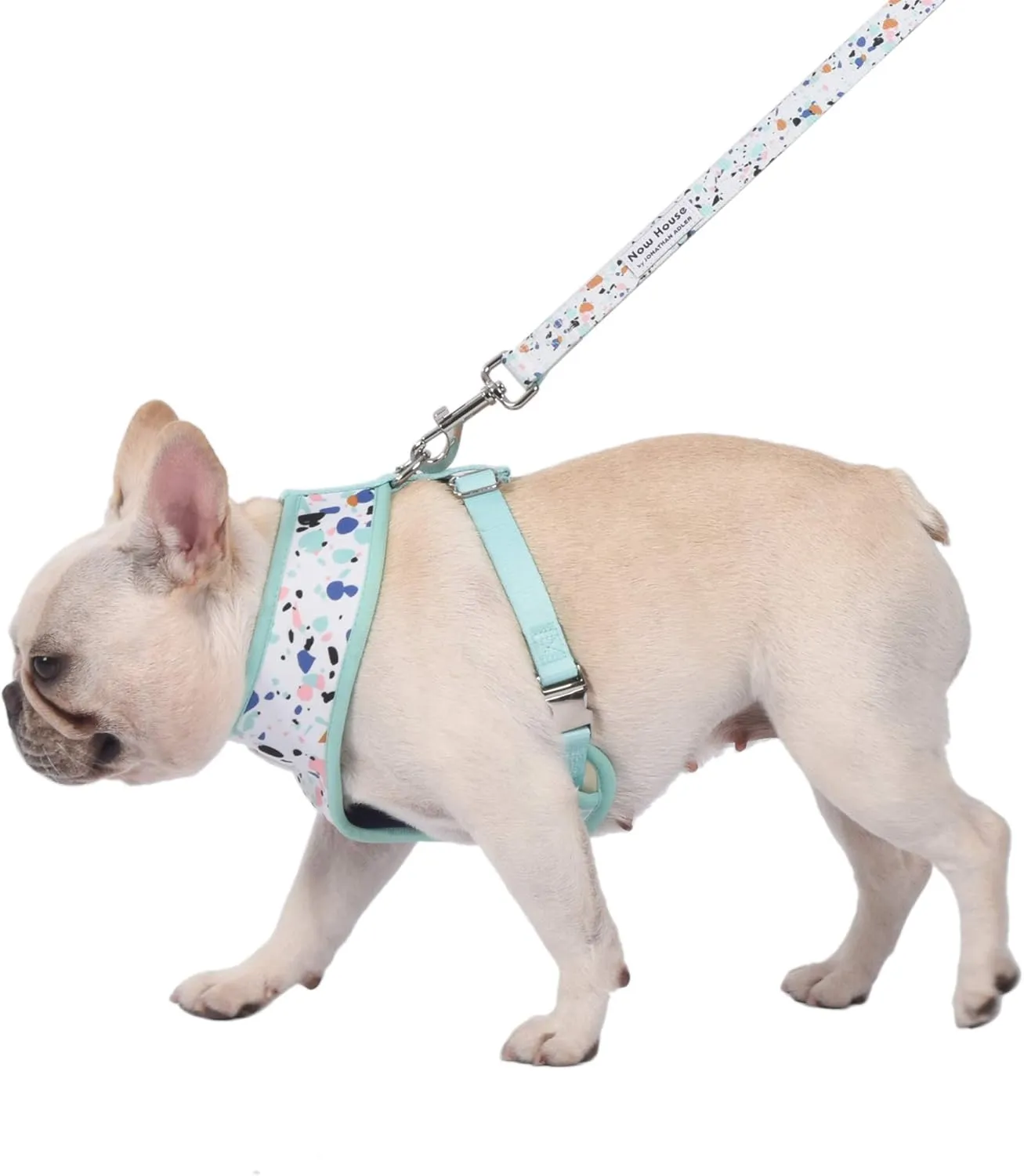 Now House for Pets by Jonathan Adler Jonathan Adler: Now House Terrazzo Reversible Harness, Large | Fashionable and Functional Way to Keep Dog Looking Great | Cute Dog Accessories for Pets