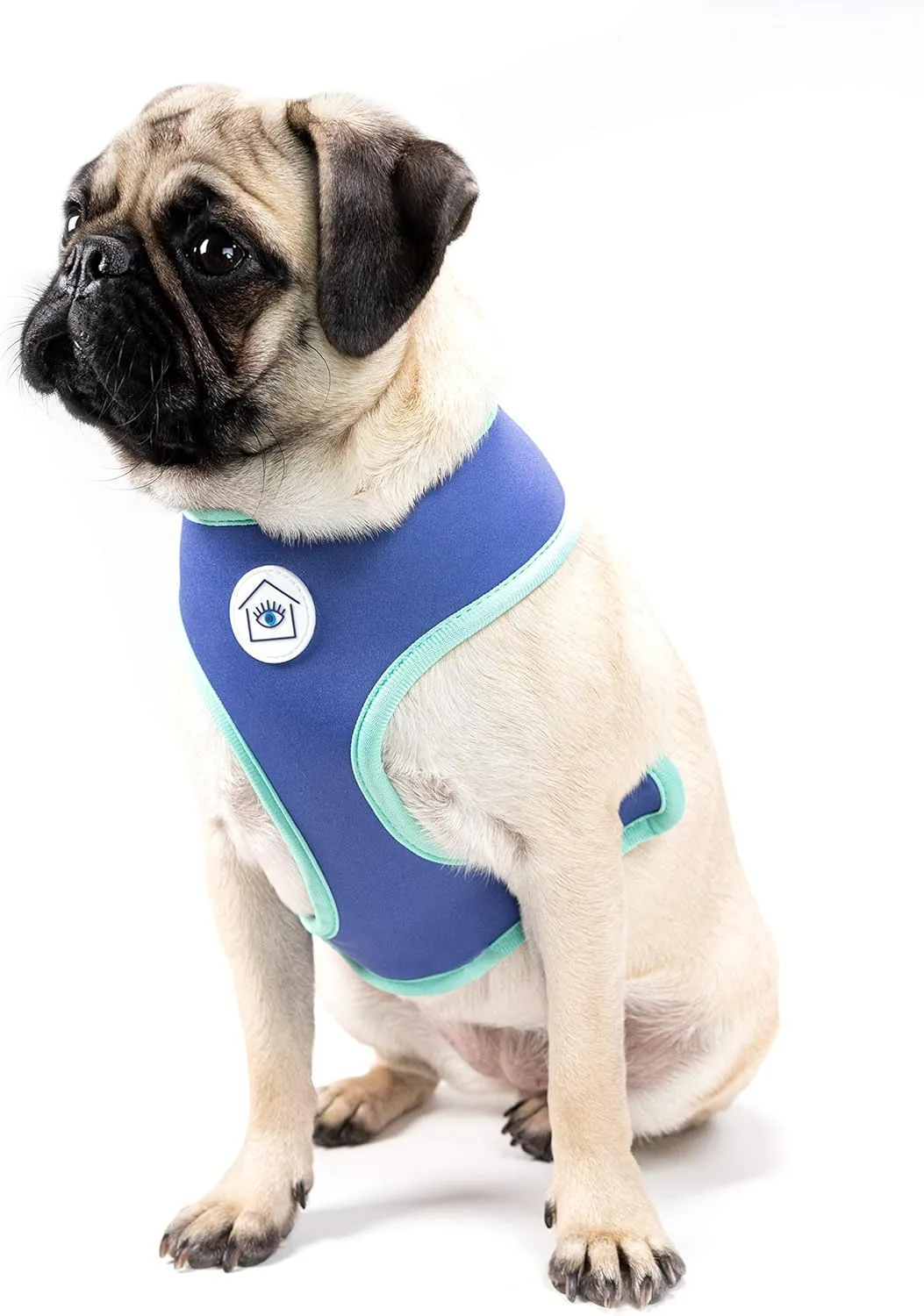 Now House for Pets by Jonathan Adler Jonathan Adler: Now House Terrazzo Reversible Harness, Large | Fashionable and Functional Way to Keep Dog Looking Great | Cute Dog Accessories for Pets