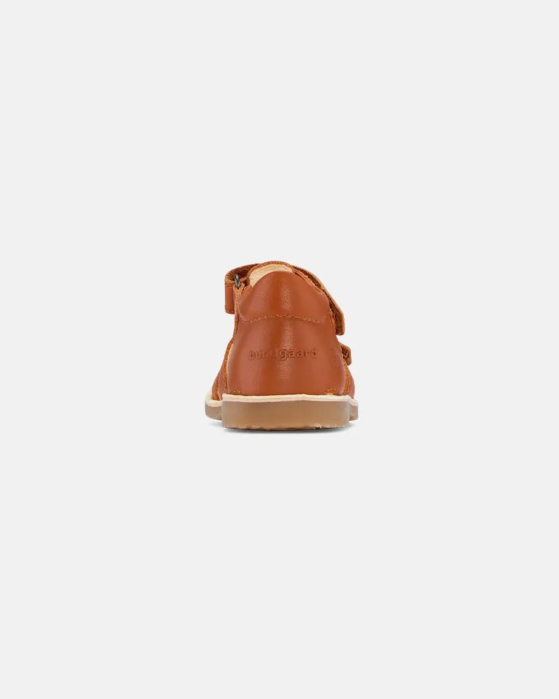 Shea Caramel